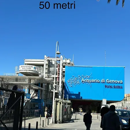 Al Ponte Reale